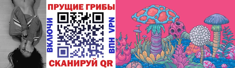 нарко площадка официальный сайт  Кузнецк  Псилоцибиновые грибы GOLDEN TEACHER  mega рабочий сайт 