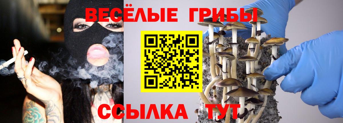 Галлюциногенные грибы ЛСД Кузнецк